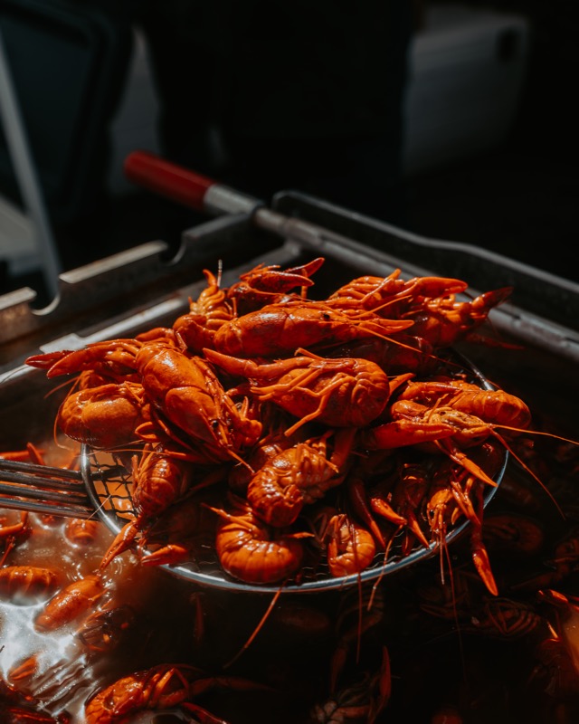 Crawfish Critic Cookoff scene