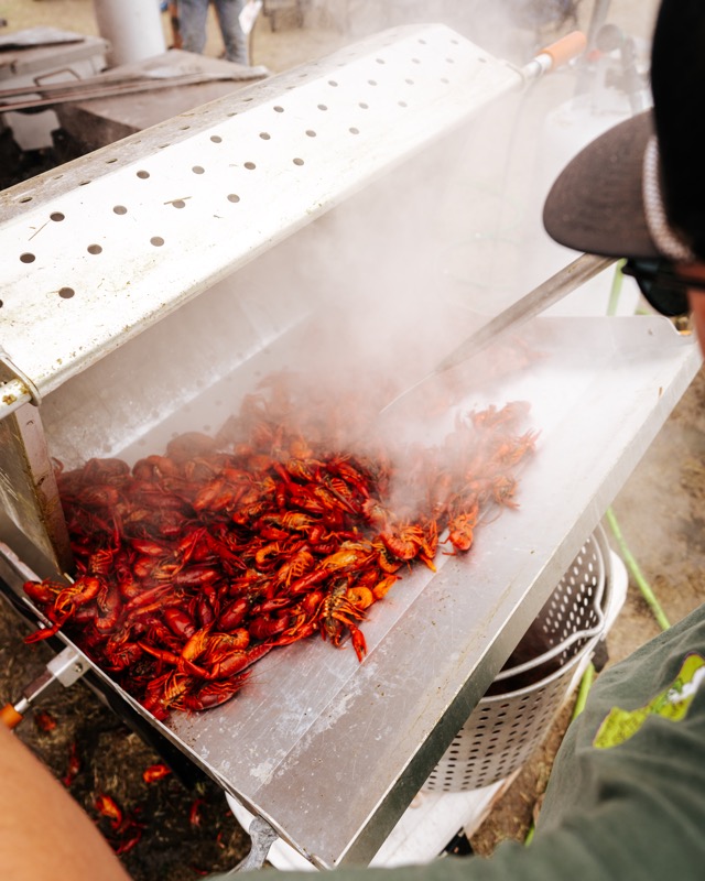 Crawfish dumped fresh from the boiler, steam rising at the Crawfish Critic Cookoff